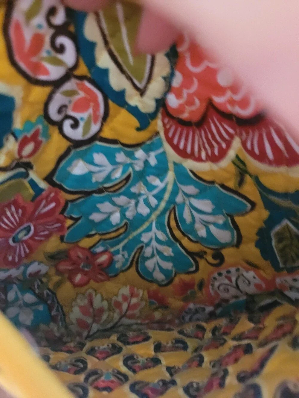 Vera Bradley never carried